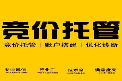 竞价SEM案例分享：行业霸主崛起之路